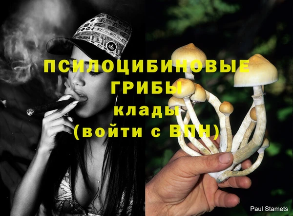 кокаин колумбия Медногорск